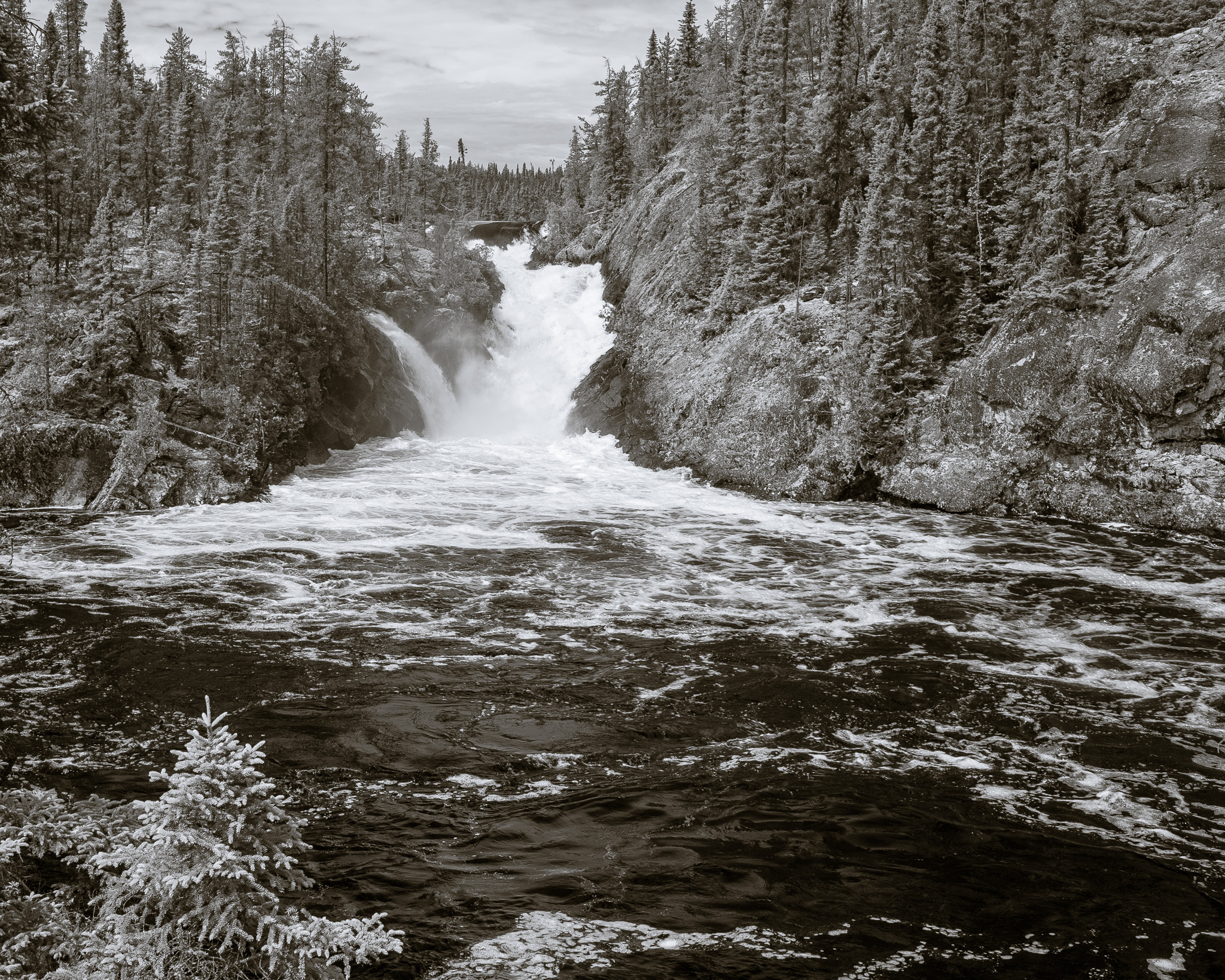 DChew_080724_4844_copy_120.jpg