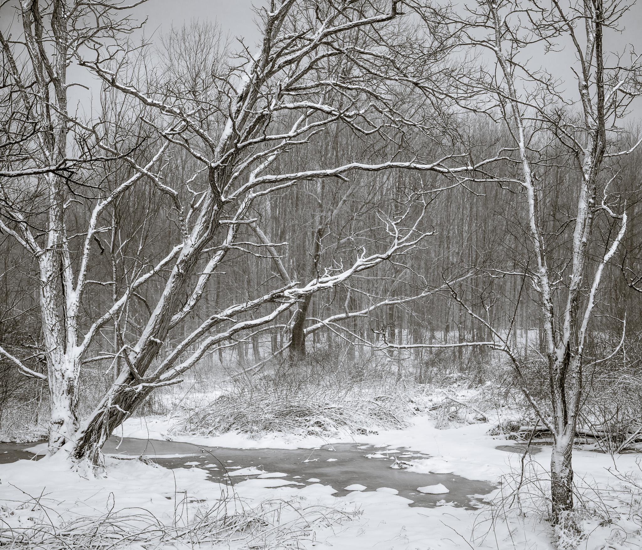 DChew_140312_00032.jpg