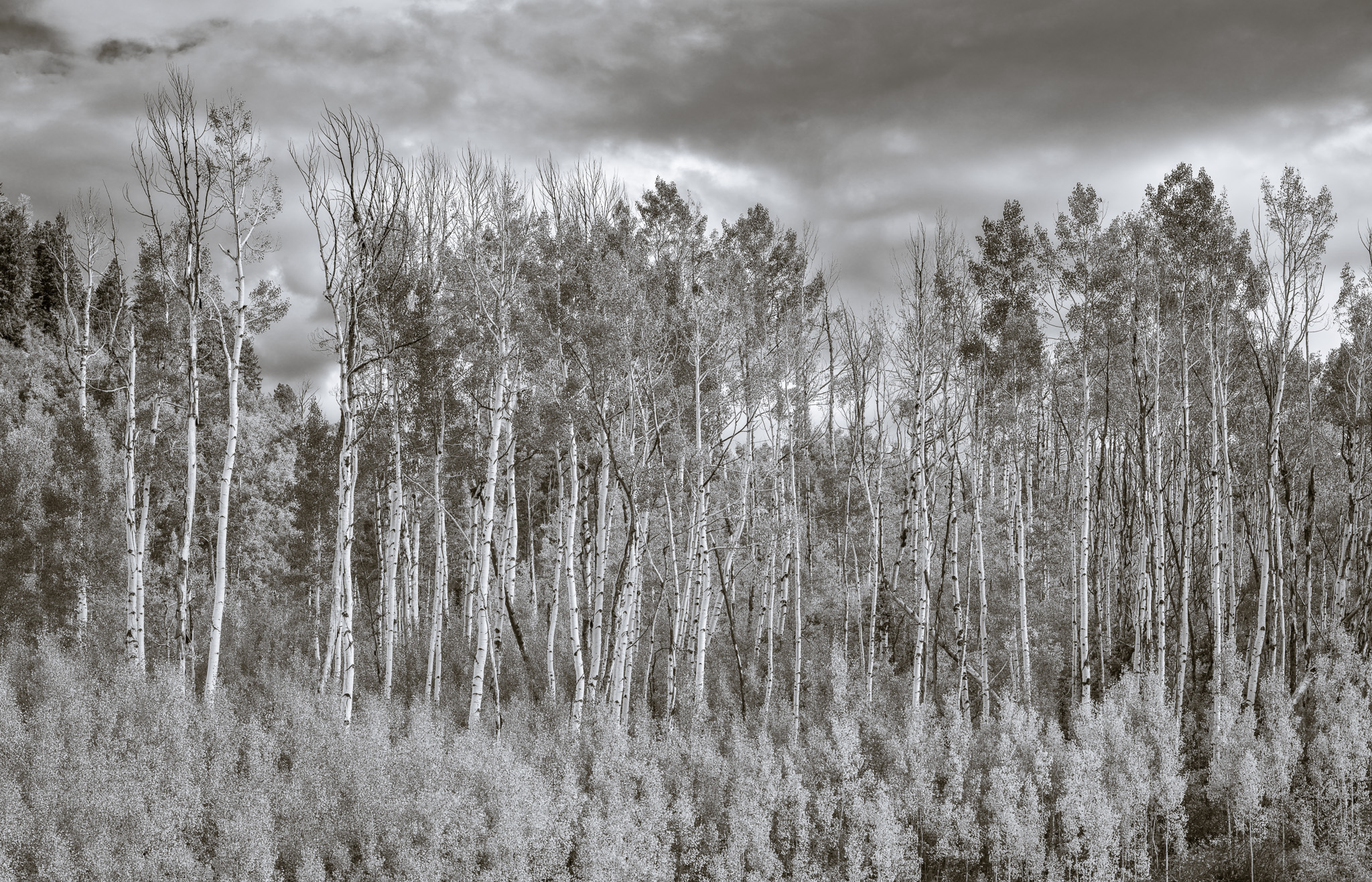 DChew_220927_00096_P1.jpg