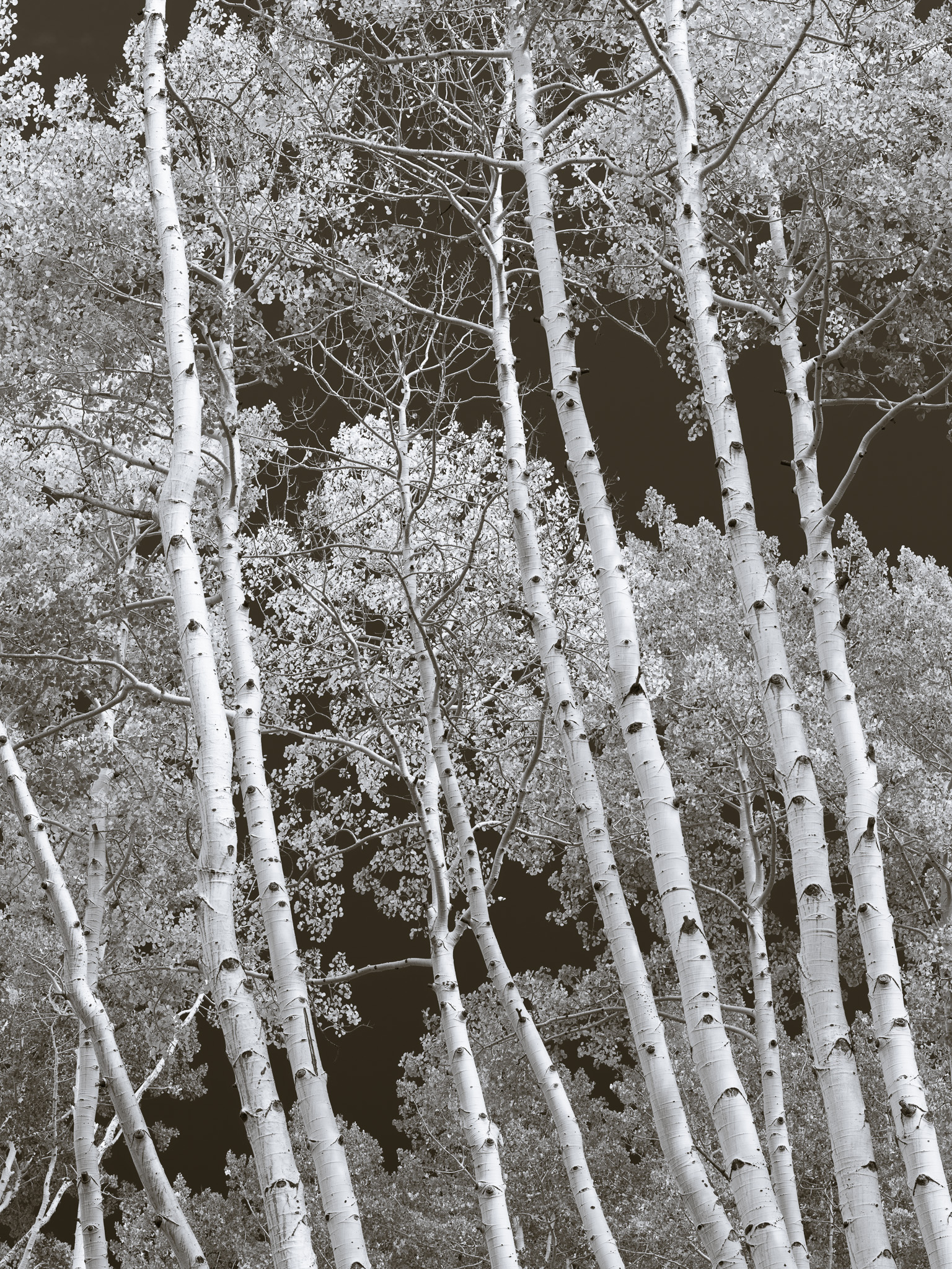 DChew_220930_00502_v2.jpg