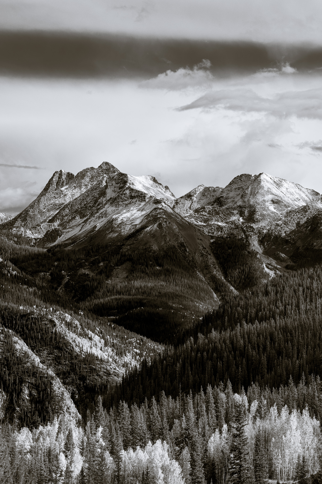 DChew_221004_01136.jpg