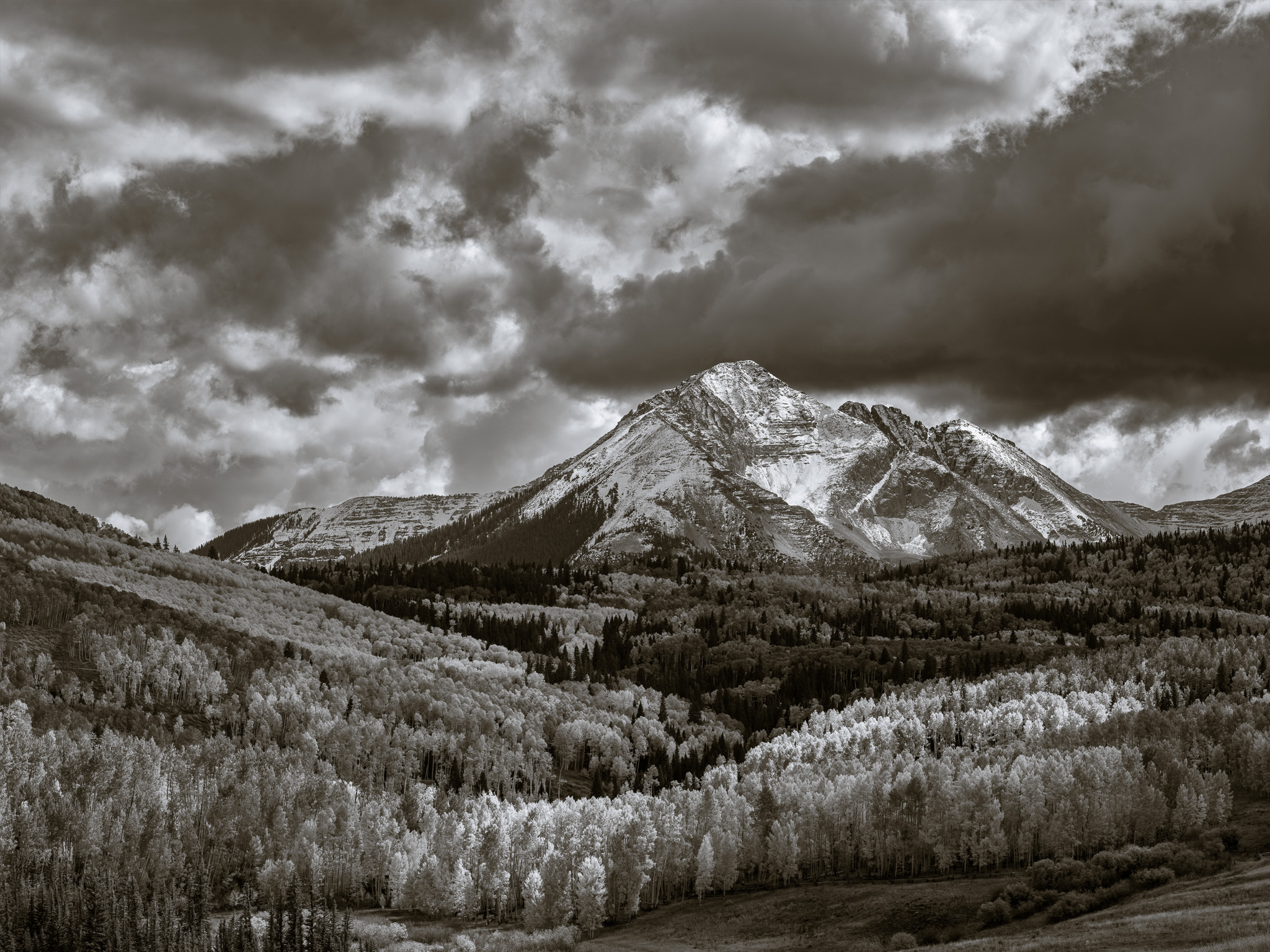 DChew_221005_01239.jpg