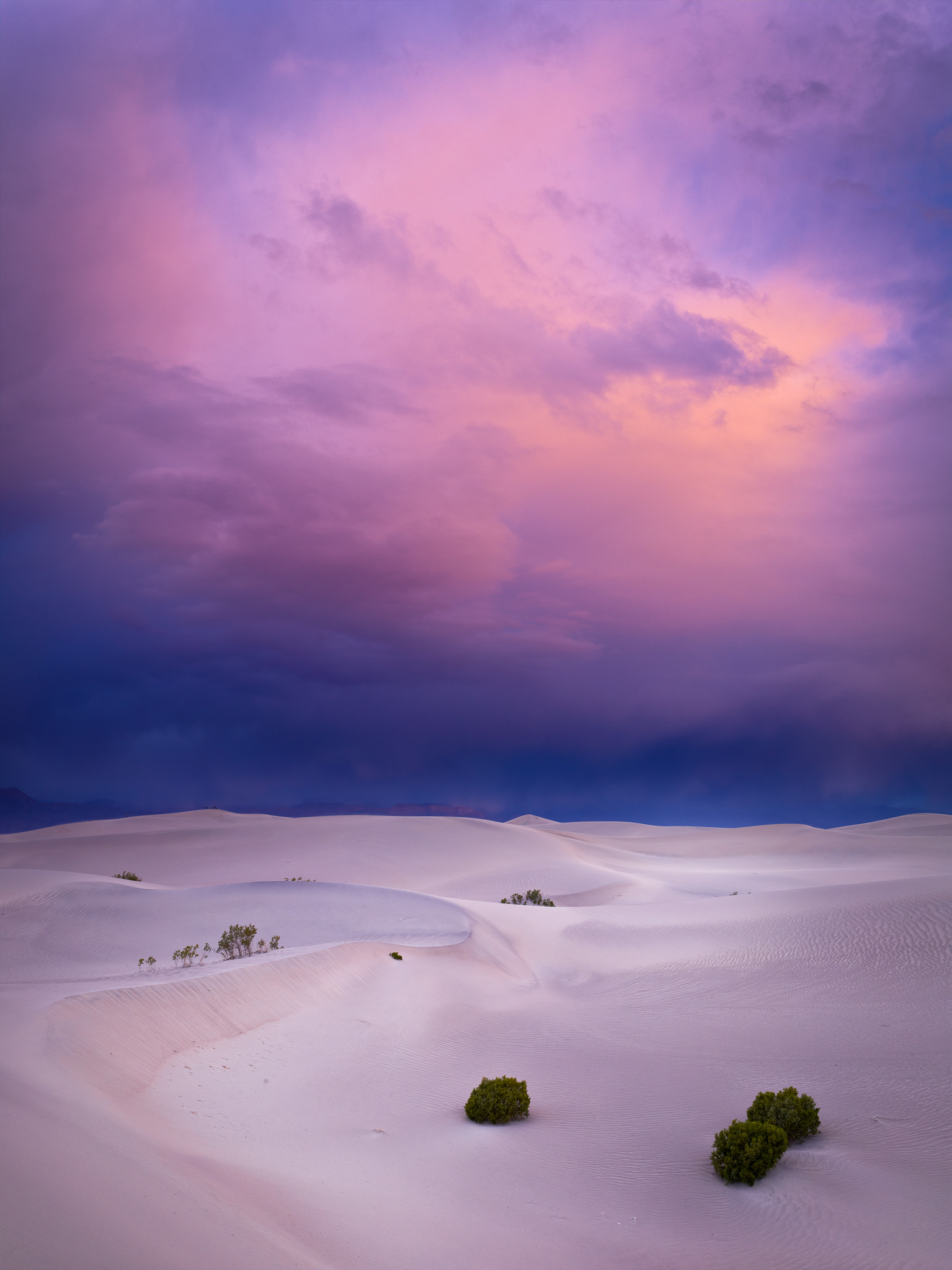 DChew_110408_1103_PODASDunes2-1-1.jpg