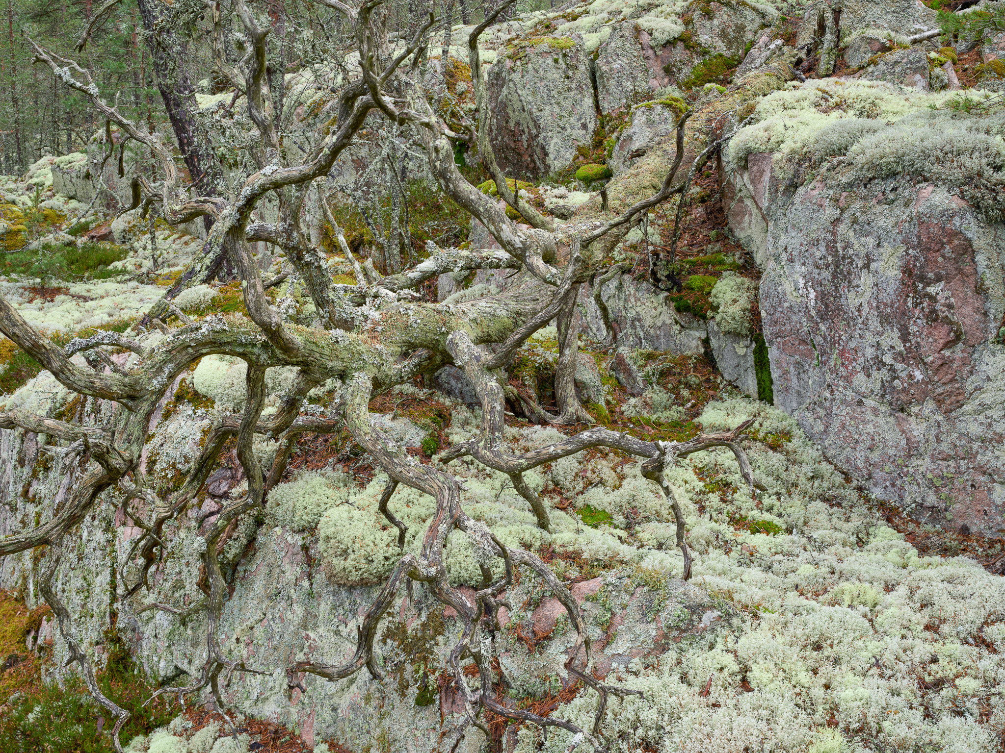 DChew_231112_00086.jpg
