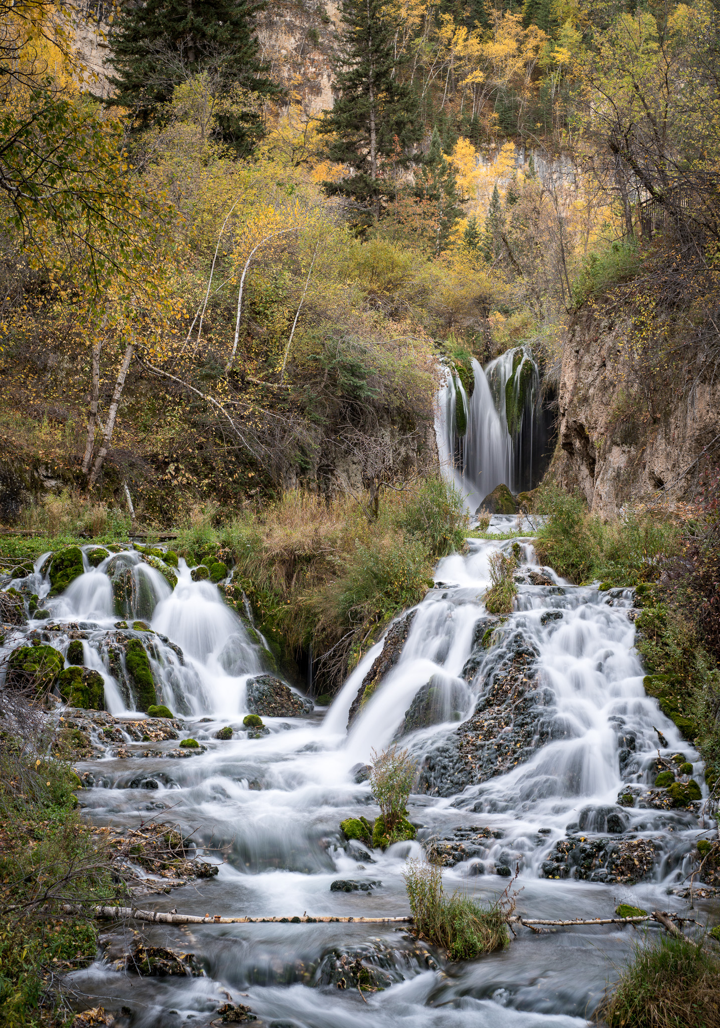 DChew_160925_3362.jpg