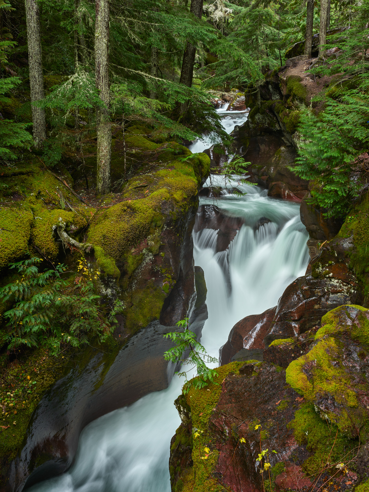 DChew_161022_00042.jpg