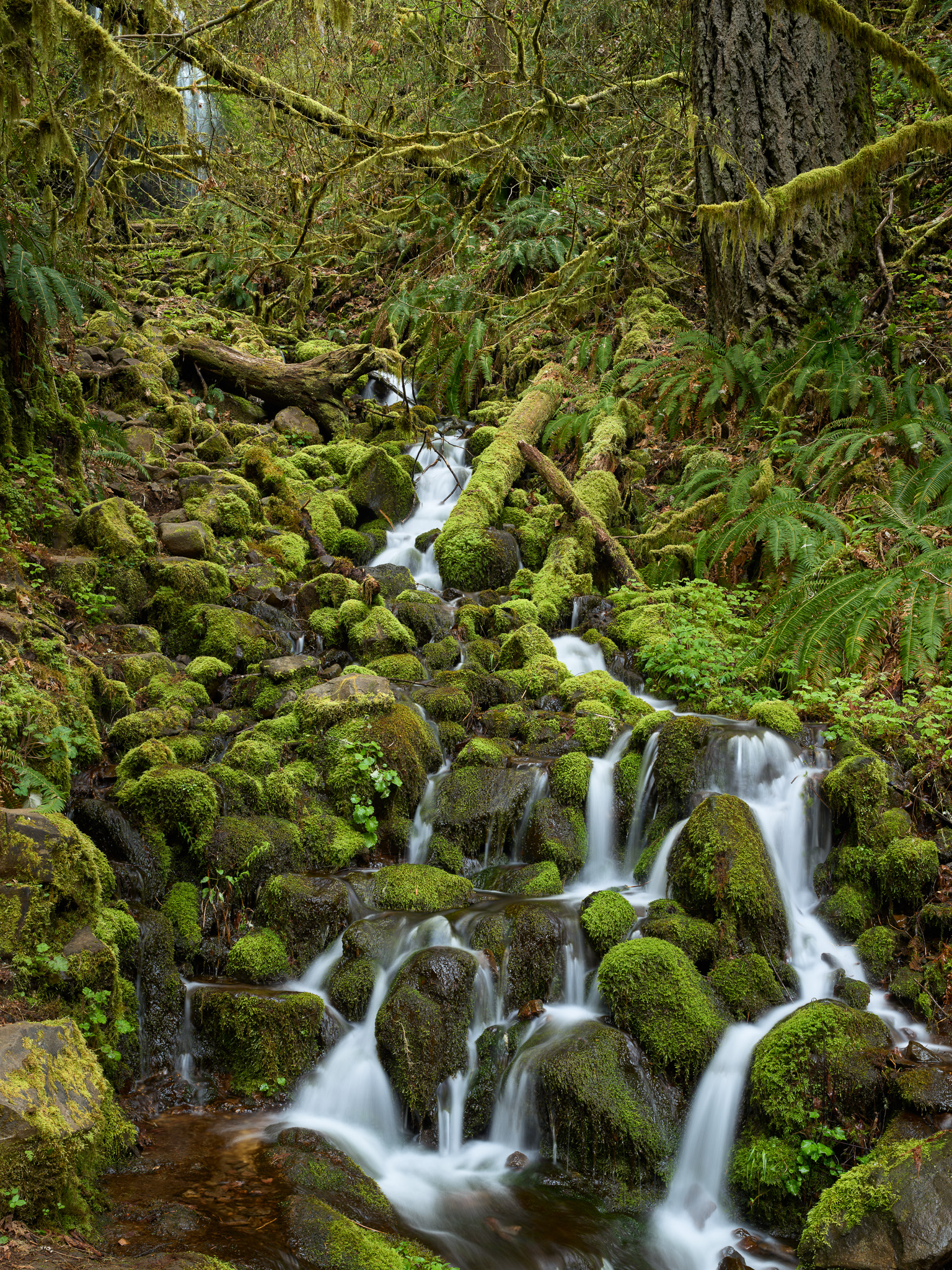 DChew_220424_00161.jpg